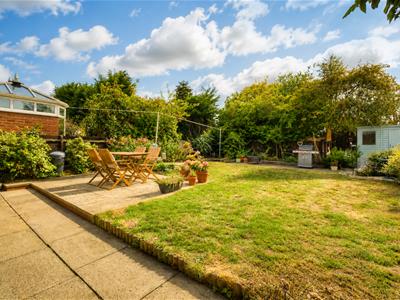 Picture 11